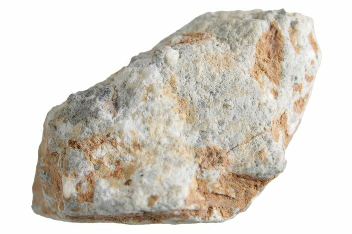 Lunar Meteorite ( g) - Bechar #360405